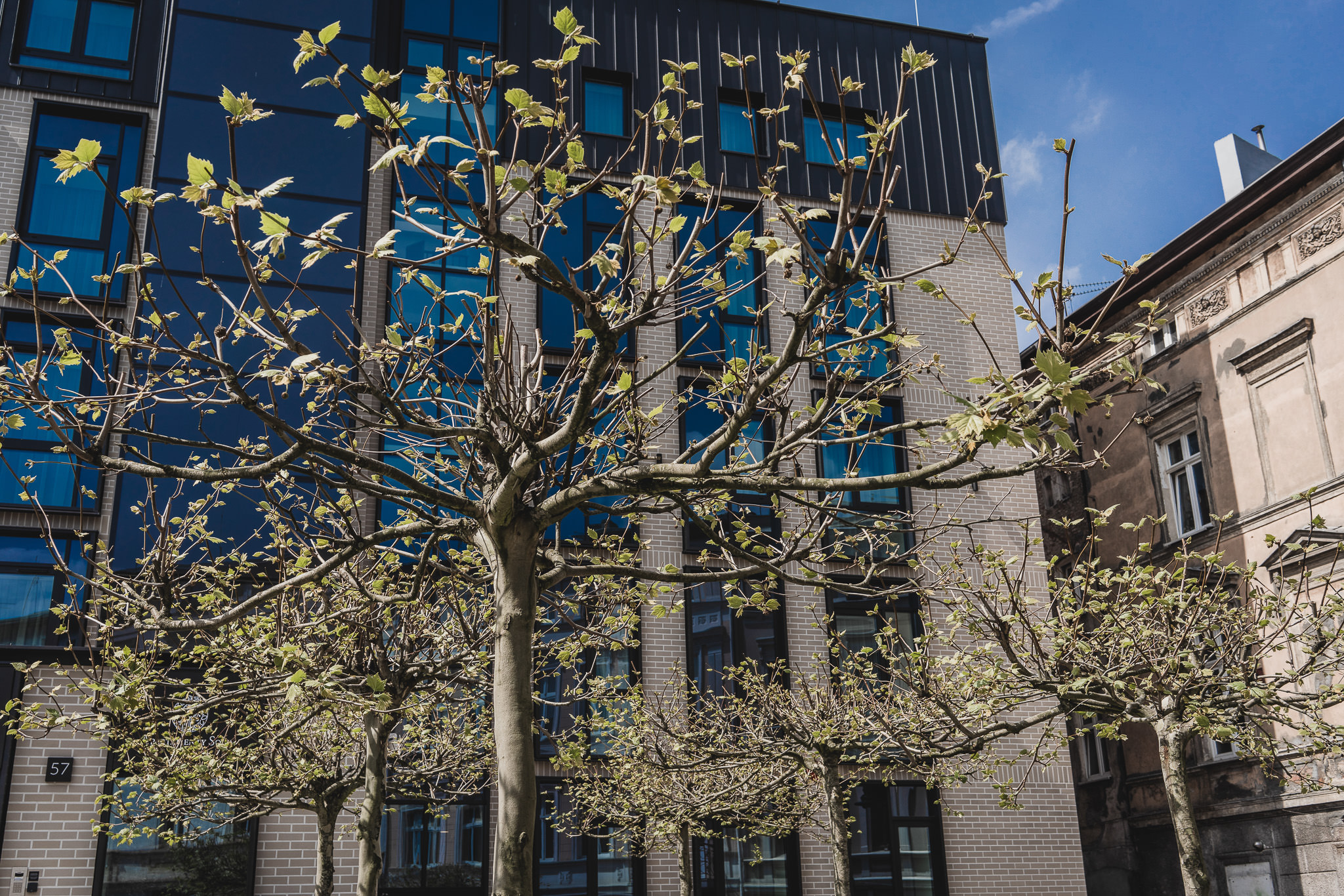 Apartamenty Sowa Bydgoszcz 