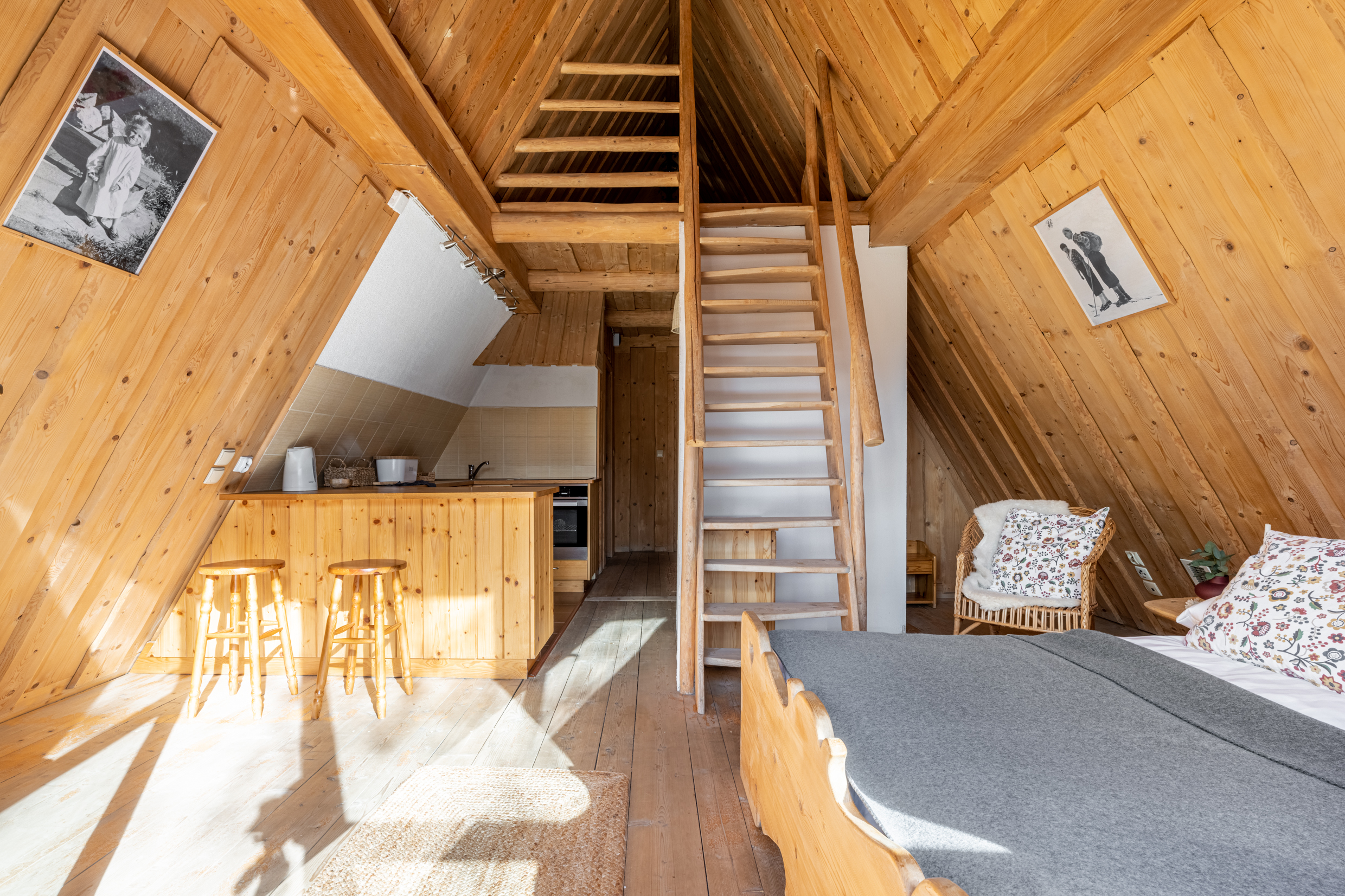 Góralskie Domki i pokoje Javorina