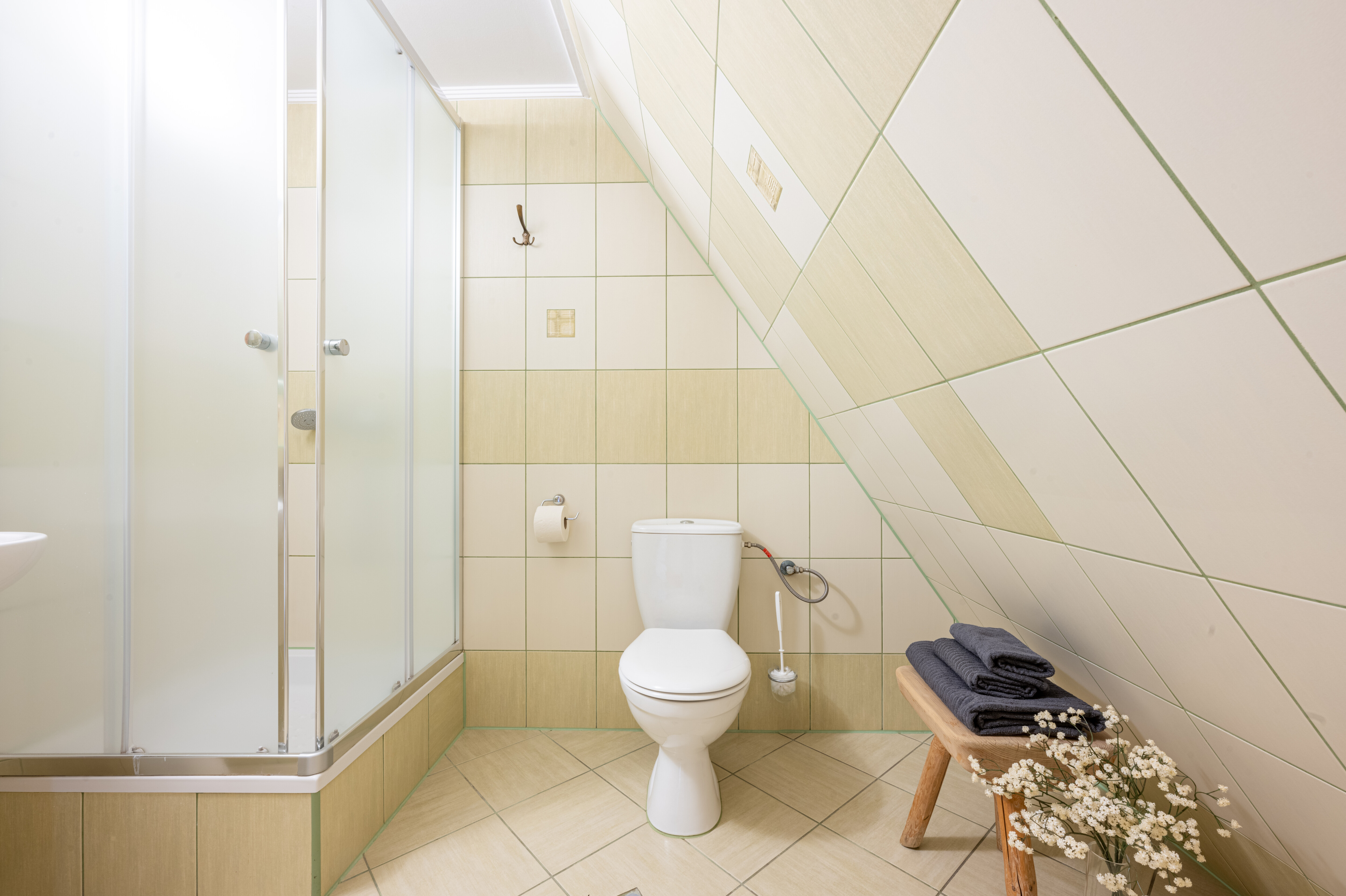 Góralskie Domki i pokoje Javorina