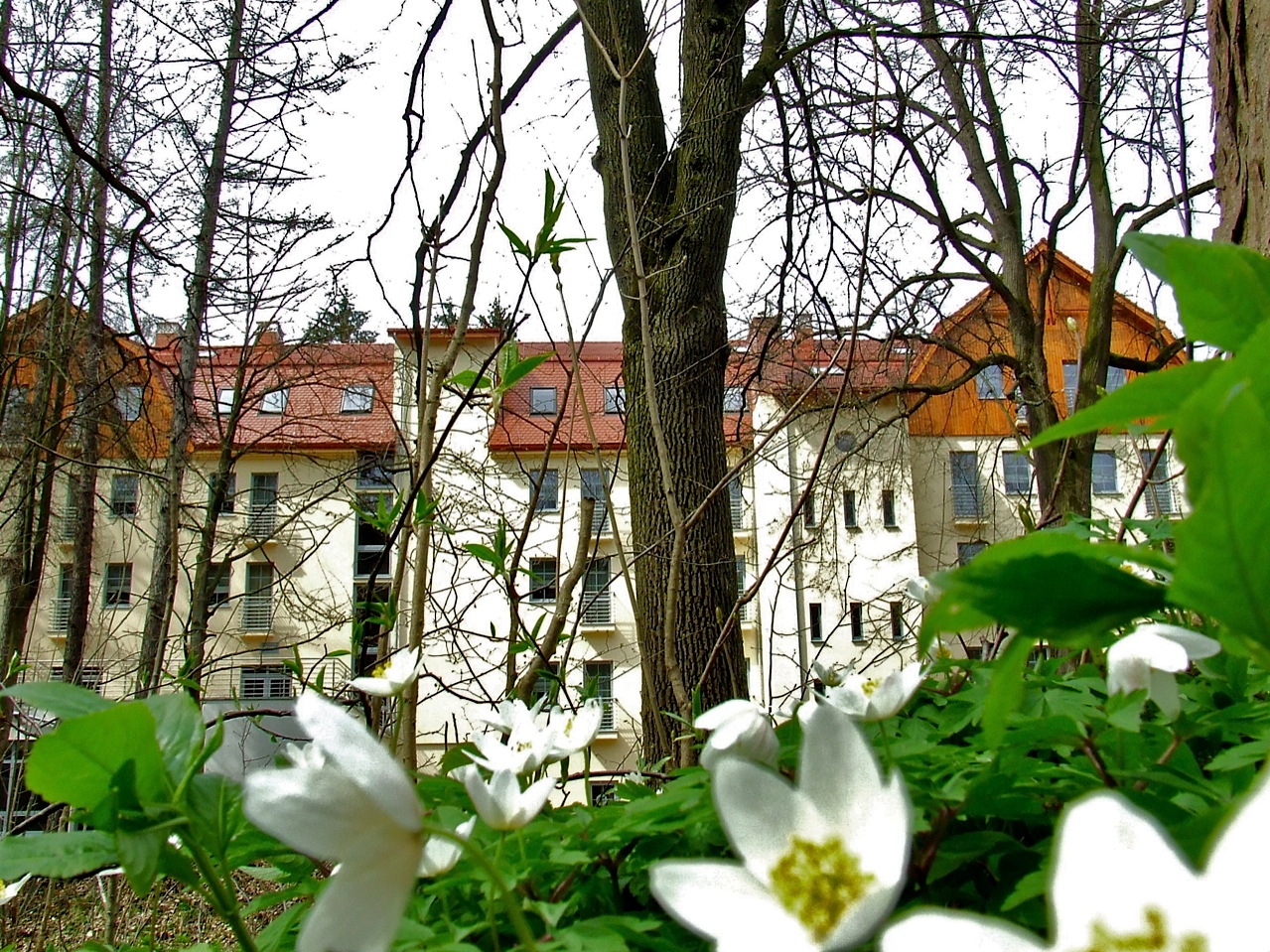 SPA Medical Dwór Elizy