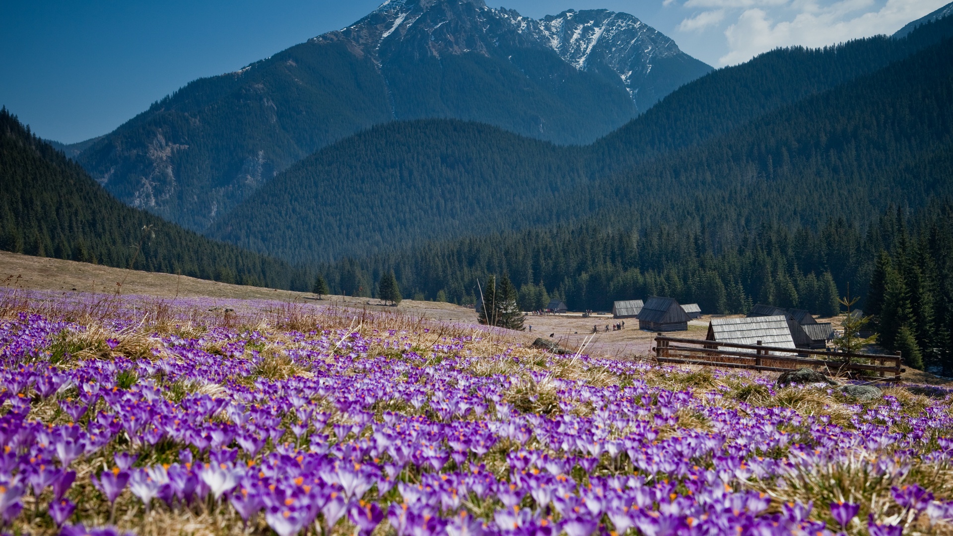 Hotel Redyk Ski&Relax ***