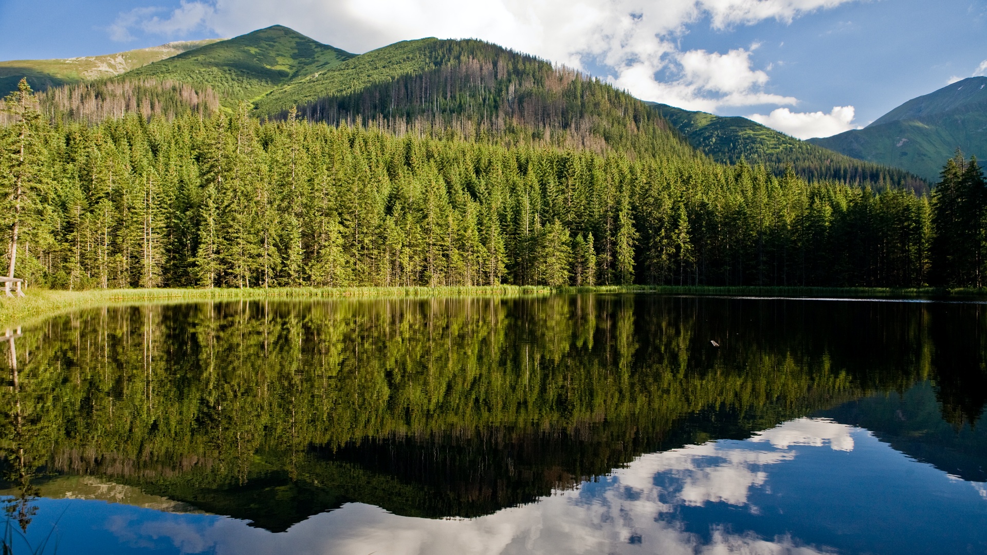 Hotel Redyk Ski&Relax ***